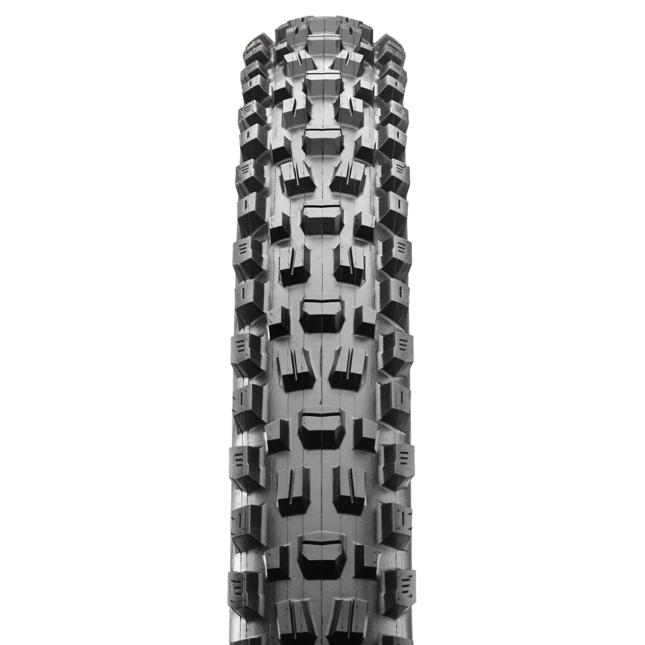 MAXXIS ASSEGAI 29x2.5, 3C MAXX TERRA, EXO WT 60 TPI