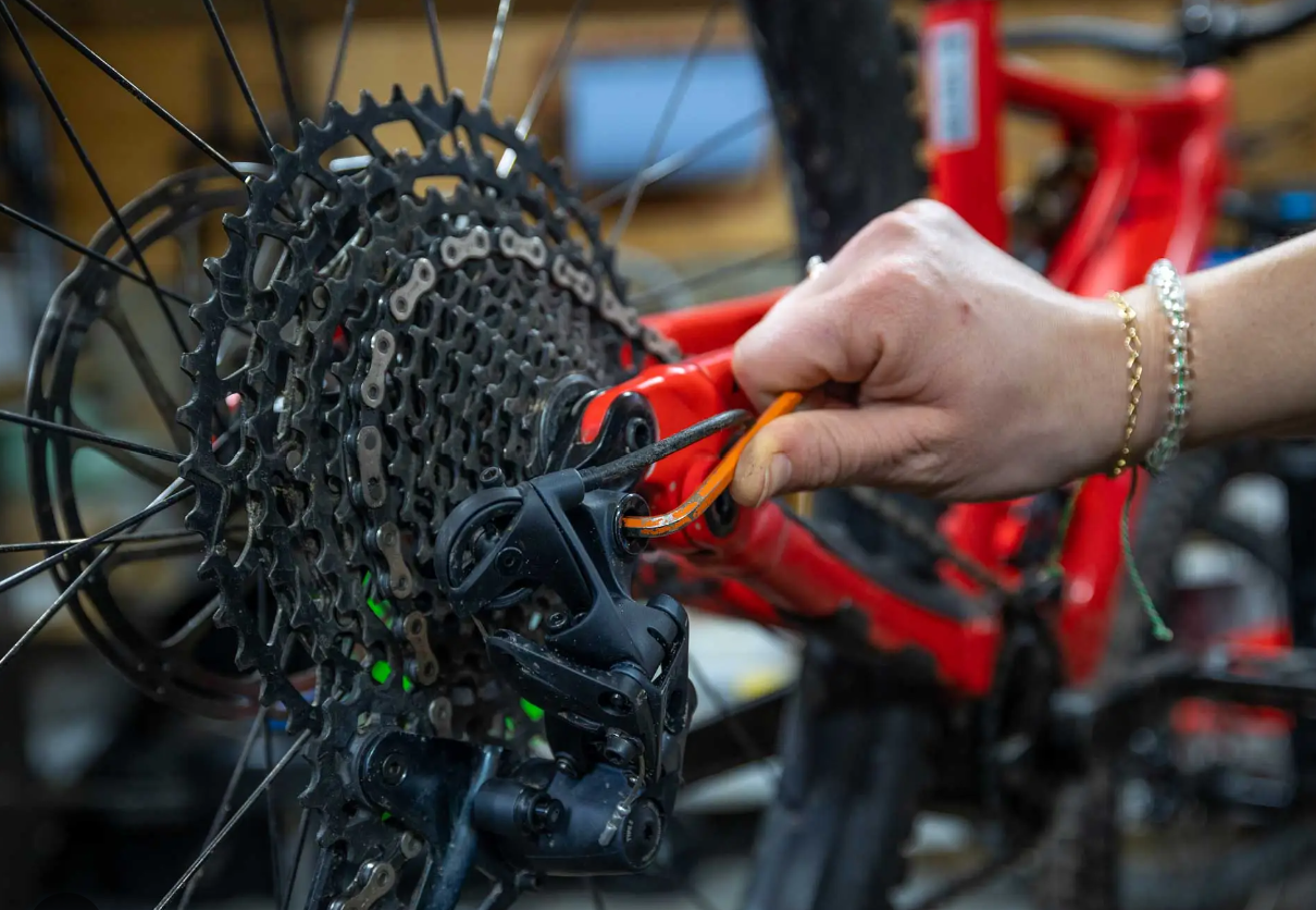 Summer  Bike Services